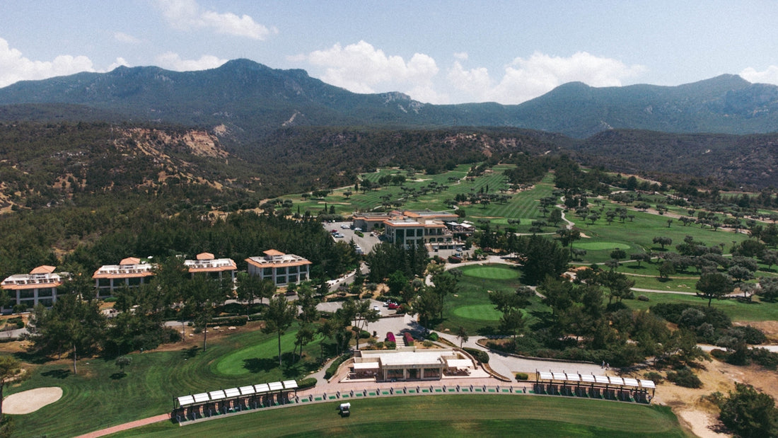 a large green landscape with buildings and trees