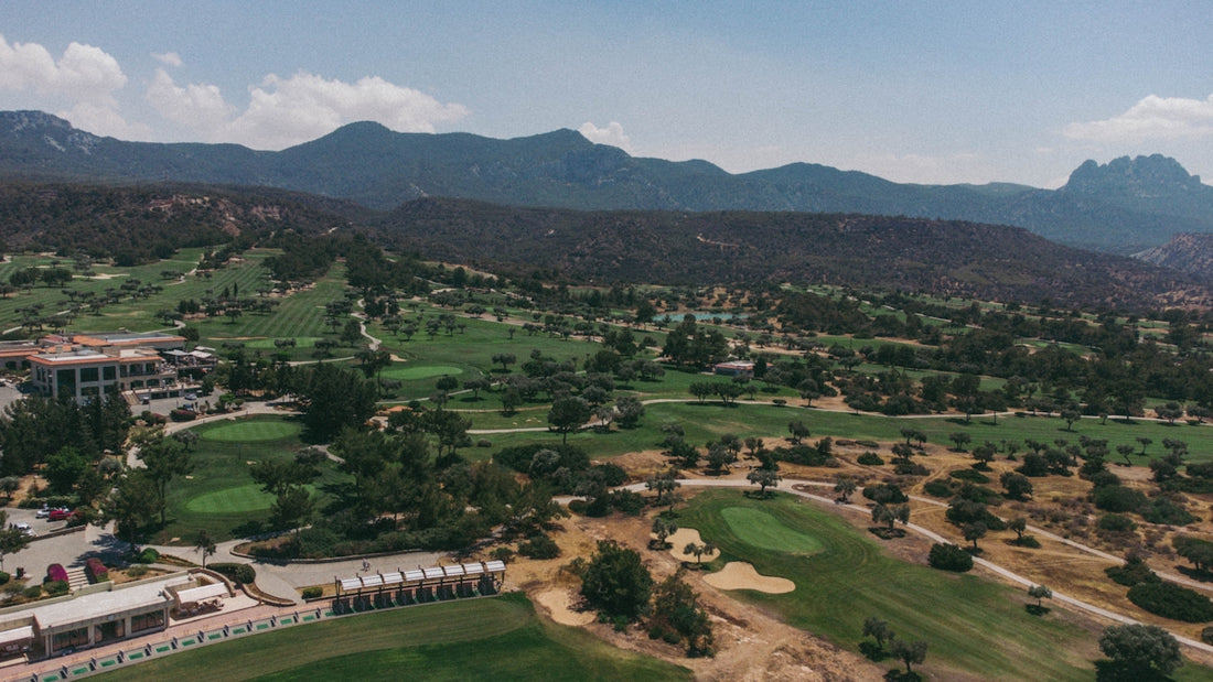 a landscape with trees and buildings