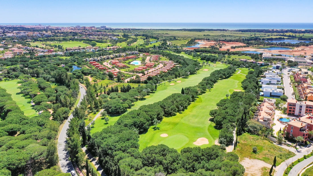an aerial view of a golf course surrounded by trees